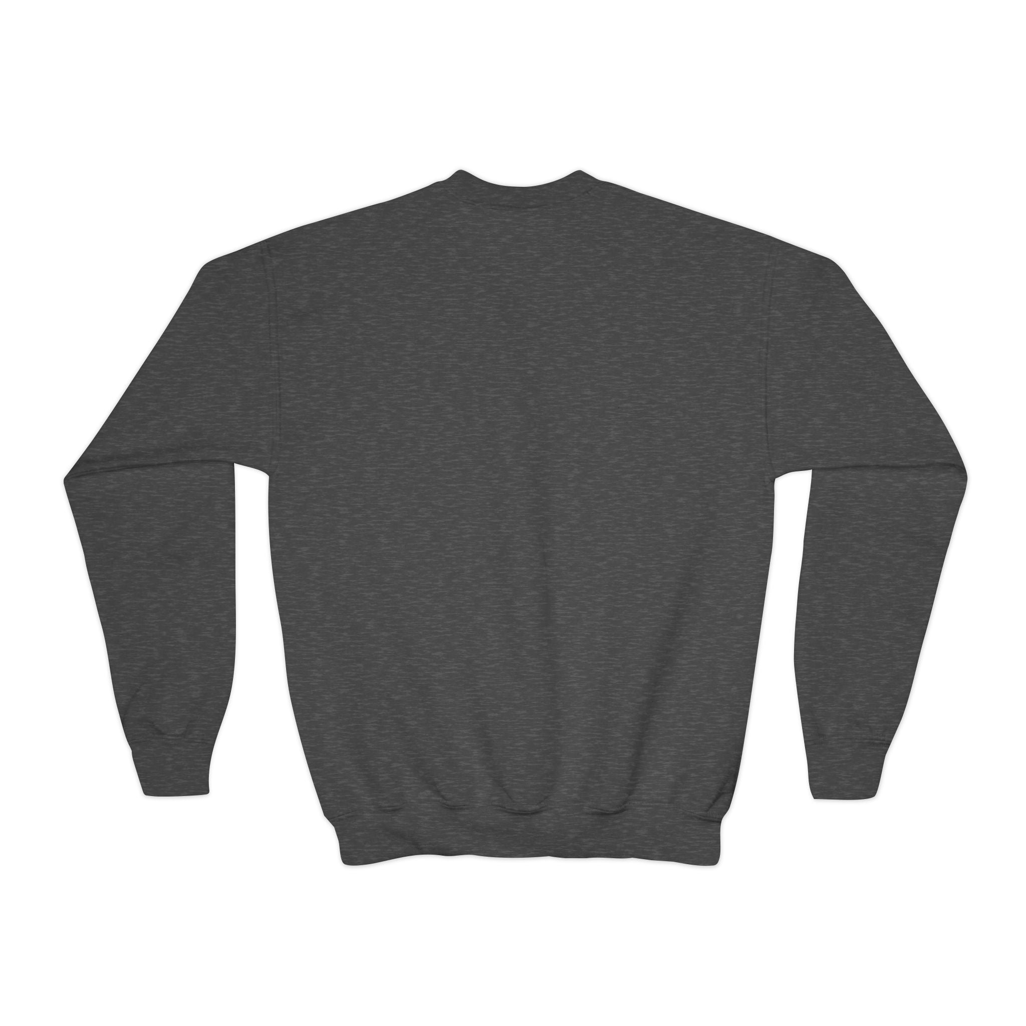 Youth Crewneck Sweatshirt - Pixie Sleeze